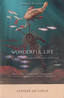 Cover for Wonderful Life